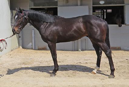 ����Ÿ�� ����