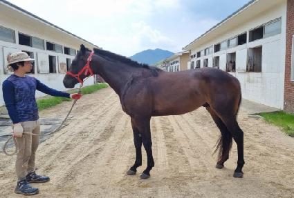 ���̽��ε� ����