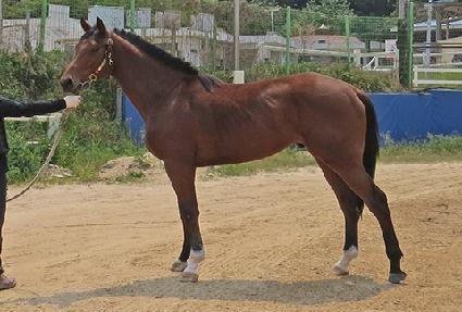 ��ٳ����� ����