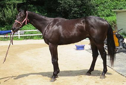 ������� ����