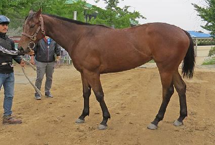 ��������Ÿ ����