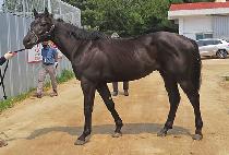 �ҽ��÷��� (FANCY PLAY) ����