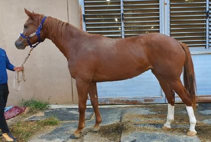 �̽��뺧 ����