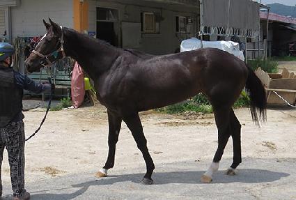 �ؿ�밥�ű� ����