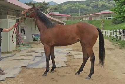 ������ũ ����