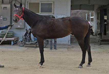 ����Ƽ������ ����