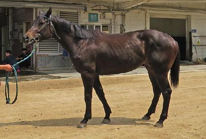 ����Ƽ�۷θ� ����