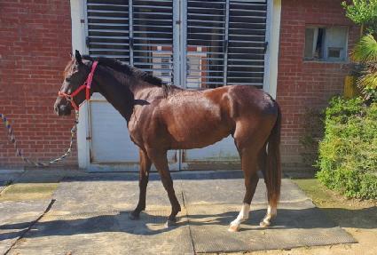 �Ͻ� ����