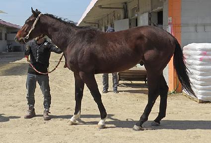 ���ýô� ����