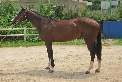 ũ���������� ����