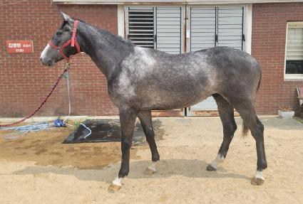 �����ǲ� ����