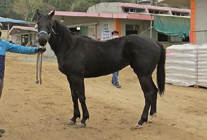 �޴����� ����