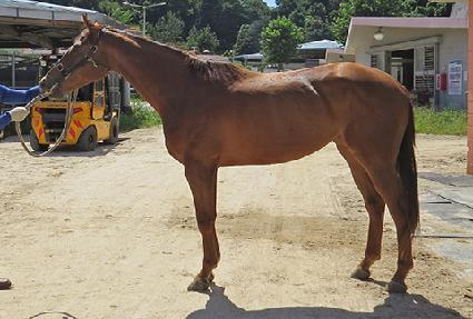 �ٵ��ٵ� ����