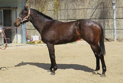 �۷ι���Ÿ ����