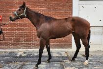 ���������� (UNJU TWO HEARTS) ����