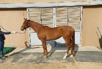 �����ε� (ONE MIND) ����