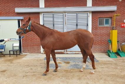 ����ǻ�� ����