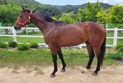 ��ũ�мǷε� ����