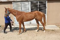 Ȳ���º� (HWANGWOO TAEBOK) ����