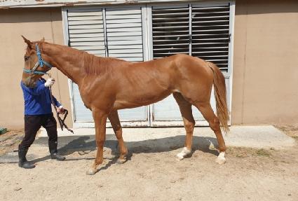 Ȳ���º� ����