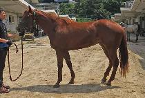 �������� (GEOLJAK TOUR) ����