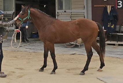 ��������ǳ ����