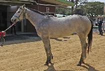 �Ѱ����� (HANGANG MUSIC) ����