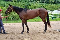 �̸��� (KELLY QUEEN) ����