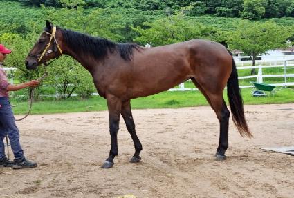 �̸��� ����