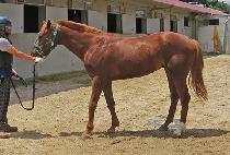 �ö��̵��� (FLY DAY) ����