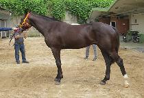 ��½���ŷ (RAON SUPER KING) ����