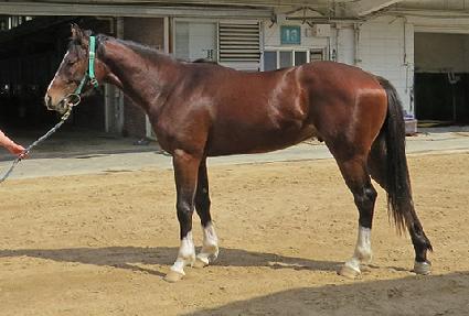 ������� ����