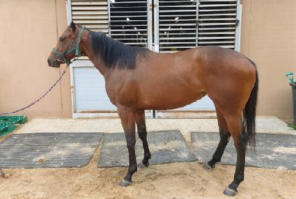 �Ĺ����� ����