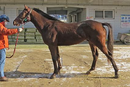 ���ý�ȭ ����