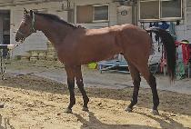 ��ũ������ (SECRET WANGJA) ����