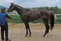 �����÷��� (HAPPY PLAY) ����