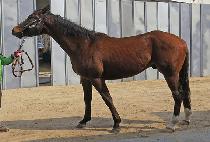 �����÷��� (WORLD PLAY) ����