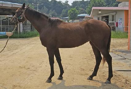 ������� ����