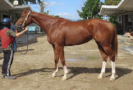 �ǹ����� ����