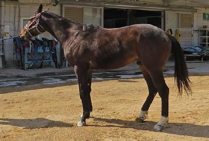 ����Ÿ�� ����