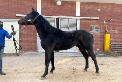 ����Ǯ�� ����