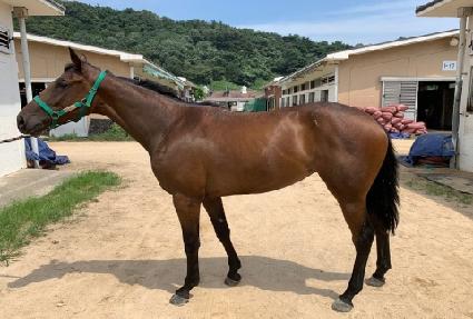 �������� ����