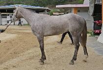 ��Ű�Ŀ� (LUCKY POWER) ����