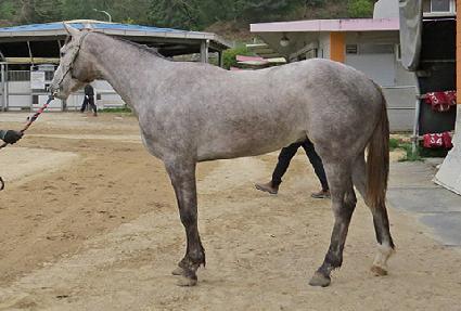 ��Ű�Ŀ� ����