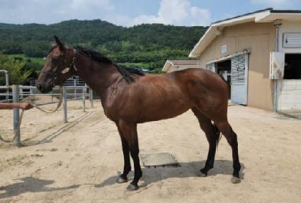 �ٺ��� ����