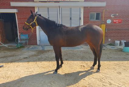 �����Ƹ��� ����