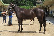 ��Ʈ�ñ׳� (HEART SIGNAL) ����