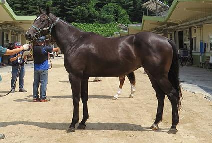 ��Ʈ�ñ׳� ����