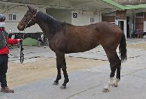 �Ƹ������� (ARGO GONGJU) ����