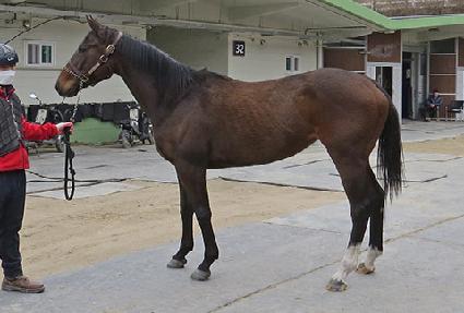 �Ƹ������� ����